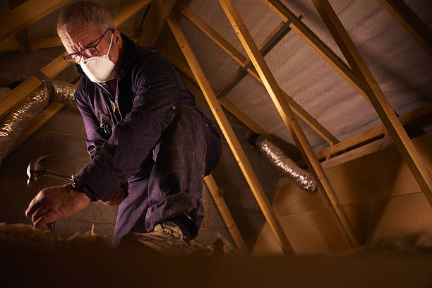 Best Insulation Contractor Near Me  in Fort Ashby, WV